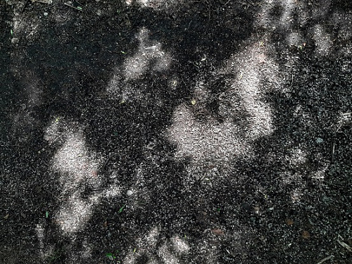 Klicke auf die Grafik für eine vergrößerte Ansicht

Name: karte1-licht-S.jpg
Ansichten: 382
Größe: 144,2 KB
ID: 100